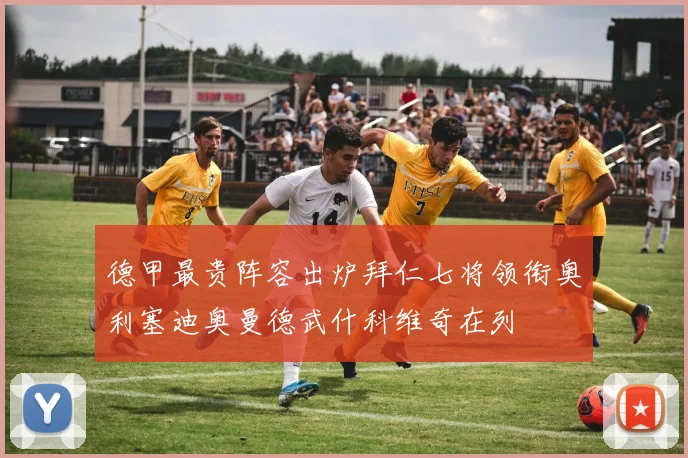 德甲最贵阵容出炉拜仁七将领衔奥利塞迪奥曼德武什科维奇在列